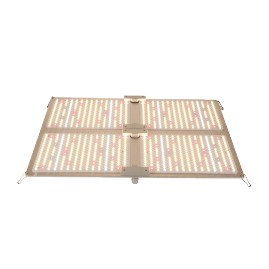 A planta interna do espectro completo que cultiva 8 barras dobráveis ​​Dimmable conduzidas cresce clara 